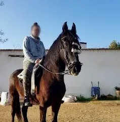 Andrea, 31